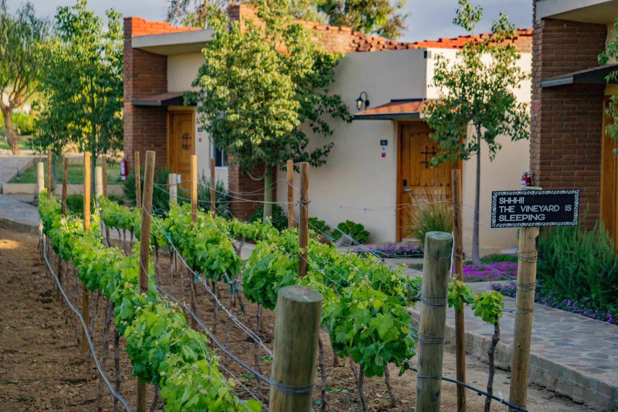 Ojo Azul Resort Valle de Guadalupe Dış mekan fotoğraf
