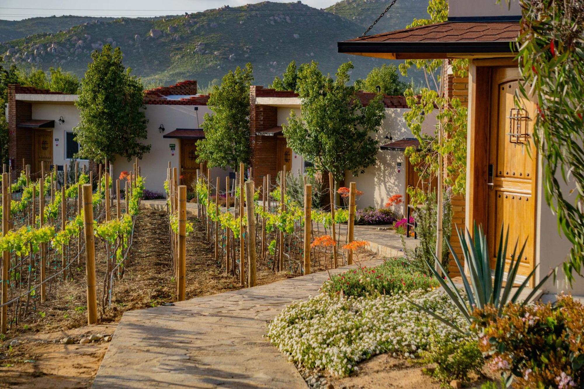 Ojo Azul Resort Valle de Guadalupe Dış mekan fotoğraf