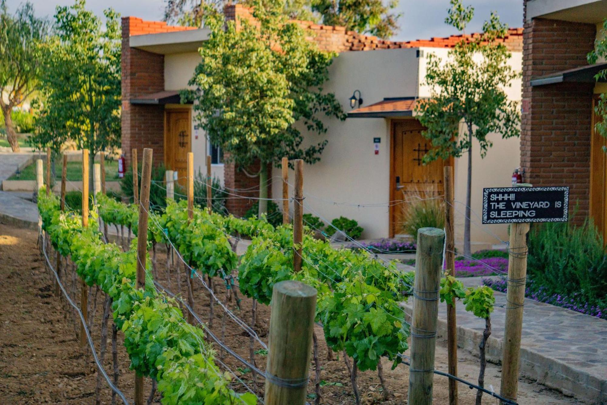 Ojo Azul Resort Valle de Guadalupe Dış mekan fotoğraf